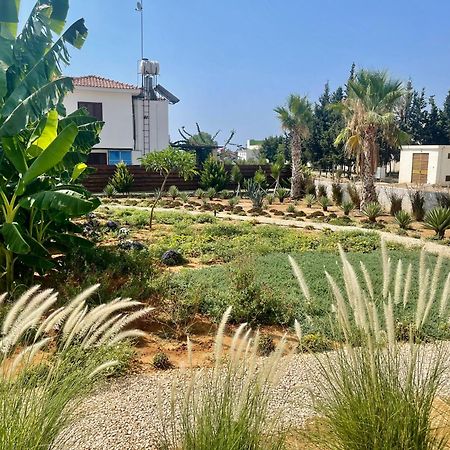 פמגוסטה Sea View Suites By The Coast מראה חיצוני תמונה