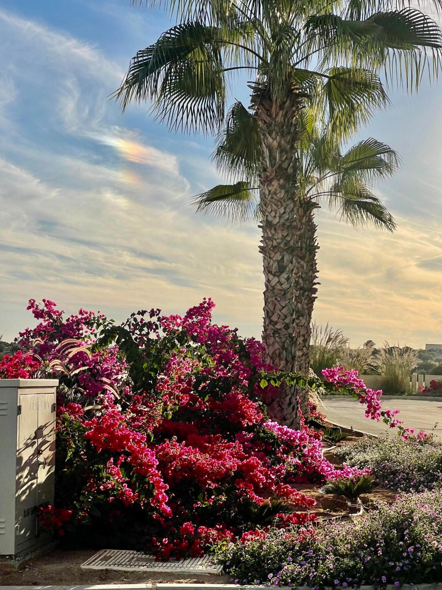 פמגוסטה Sea View Suites By The Coast מראה חיצוני תמונה