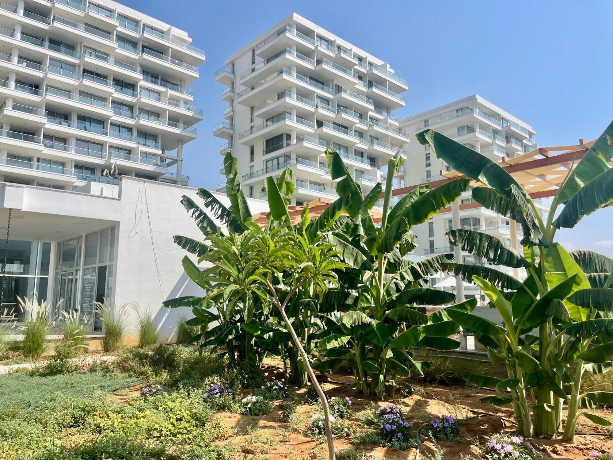 פמגוסטה Sea View Suites By The Coast מראה חיצוני תמונה