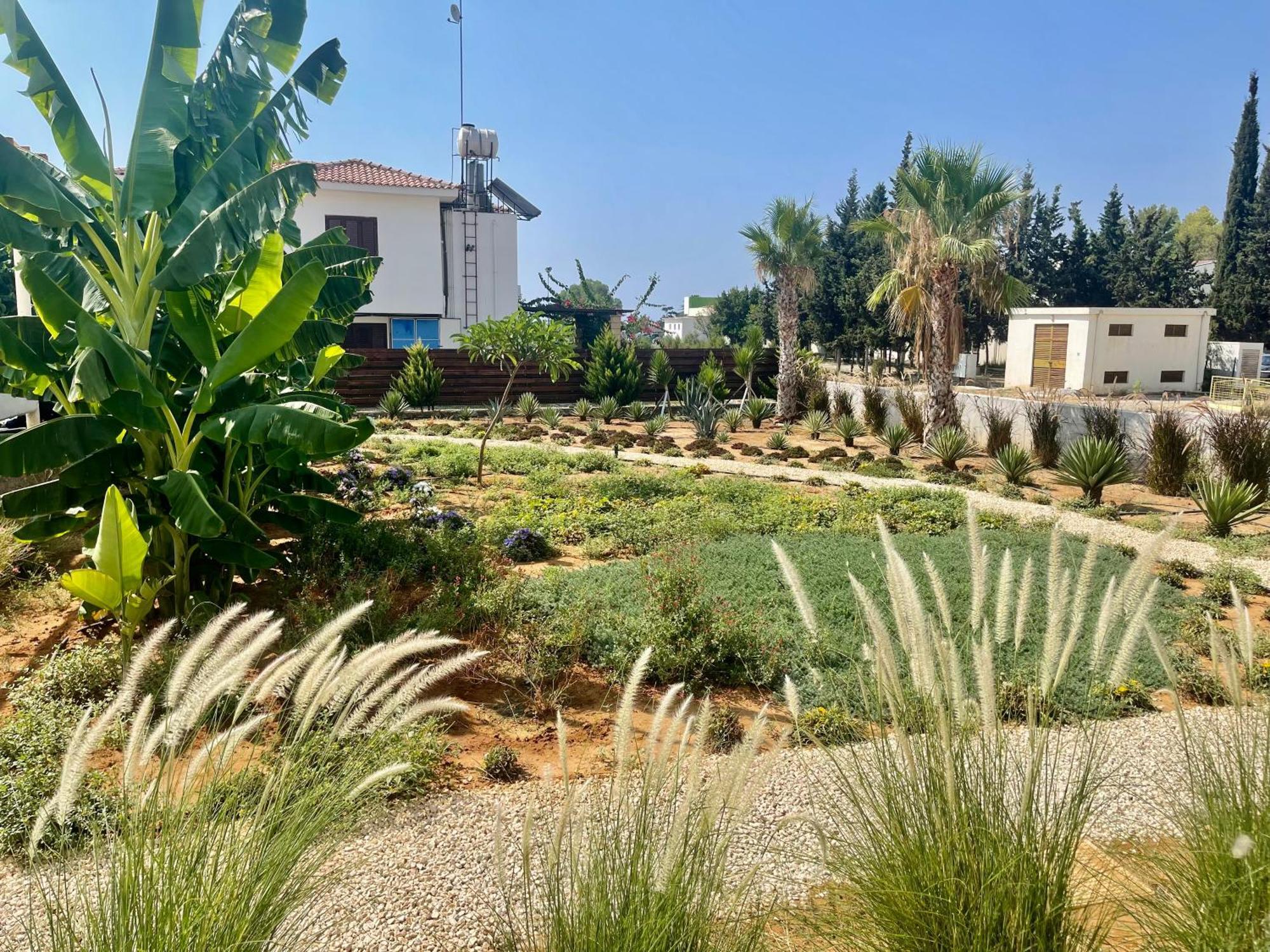 פמגוסטה Sea View Suites By The Coast מראה חיצוני תמונה